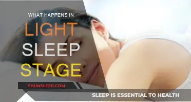 Sleep's Light Stage: Brain Activity and Body Restoration