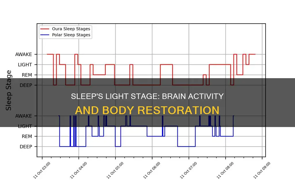 what happens in light sleep stage