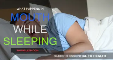 The Mouth's Night Shift: What Happens While You Sleep