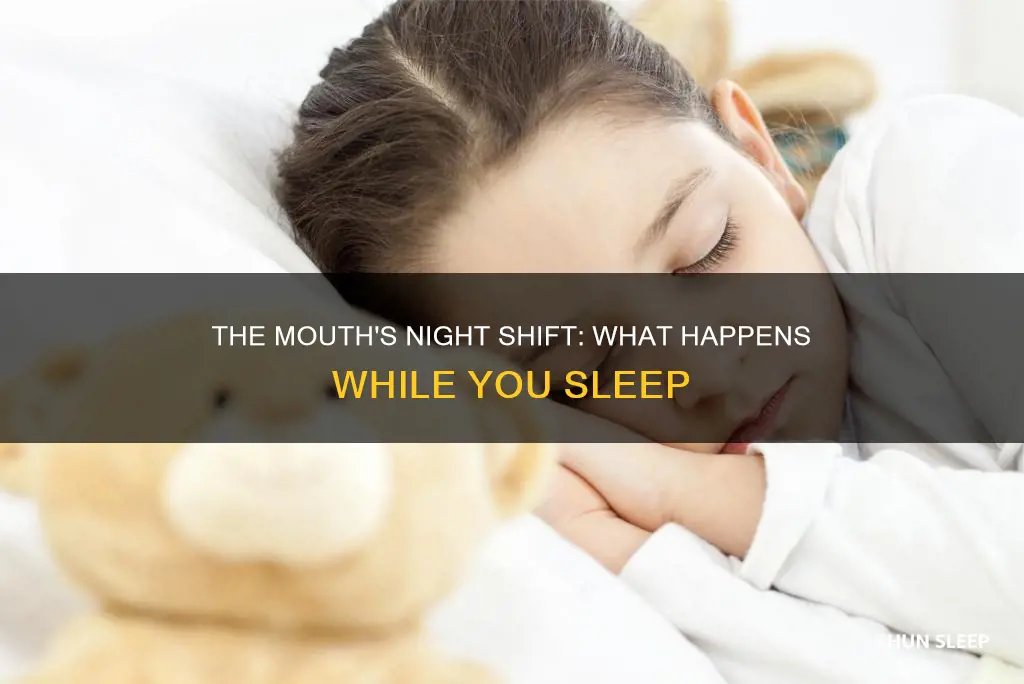what happens in mouth while sleeping