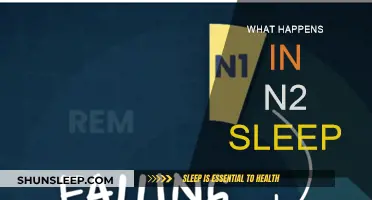 N2 Sleep: The Brain's Active Rest