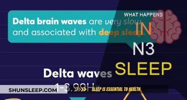 Deep Sleep: What Happens in N3