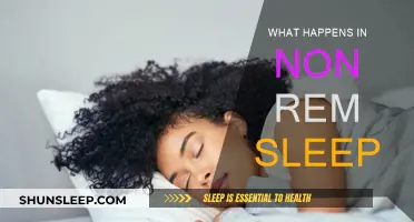 The Science of Non-REM Sleep Explained