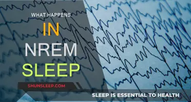 Exploring the Intricacies of NREM Sleep