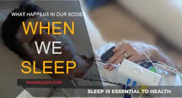 The Science of Sleep: Unraveling the Body's Nightly Journey