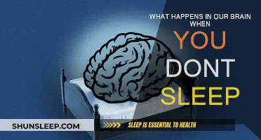Brain on No Sleep: The Science Behind Sleep Deprivation