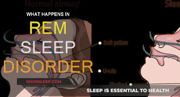 REM Sleep Disorder: What You Need to Know