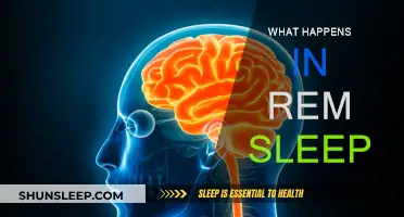 REM Sleep: Unlocking the Brain's Secrets
