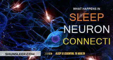 Sleep: Neuronal Connections and Brain Power