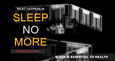 Sleep No More: A Surreal Dreamlike Adventure
