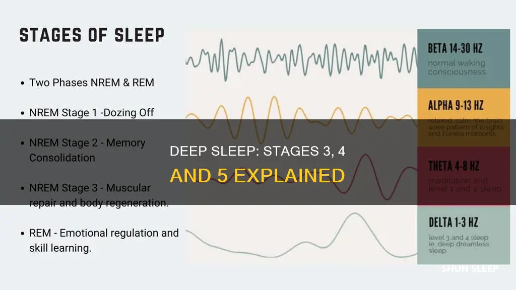 what happens in sleep stages 3 4 and stage 5