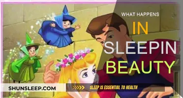 Sleeping Beauty: A Story of Magical Slumber