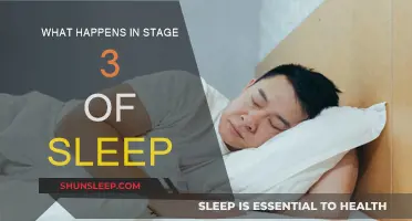 Deep Sleep: The Body's Restoration Phase