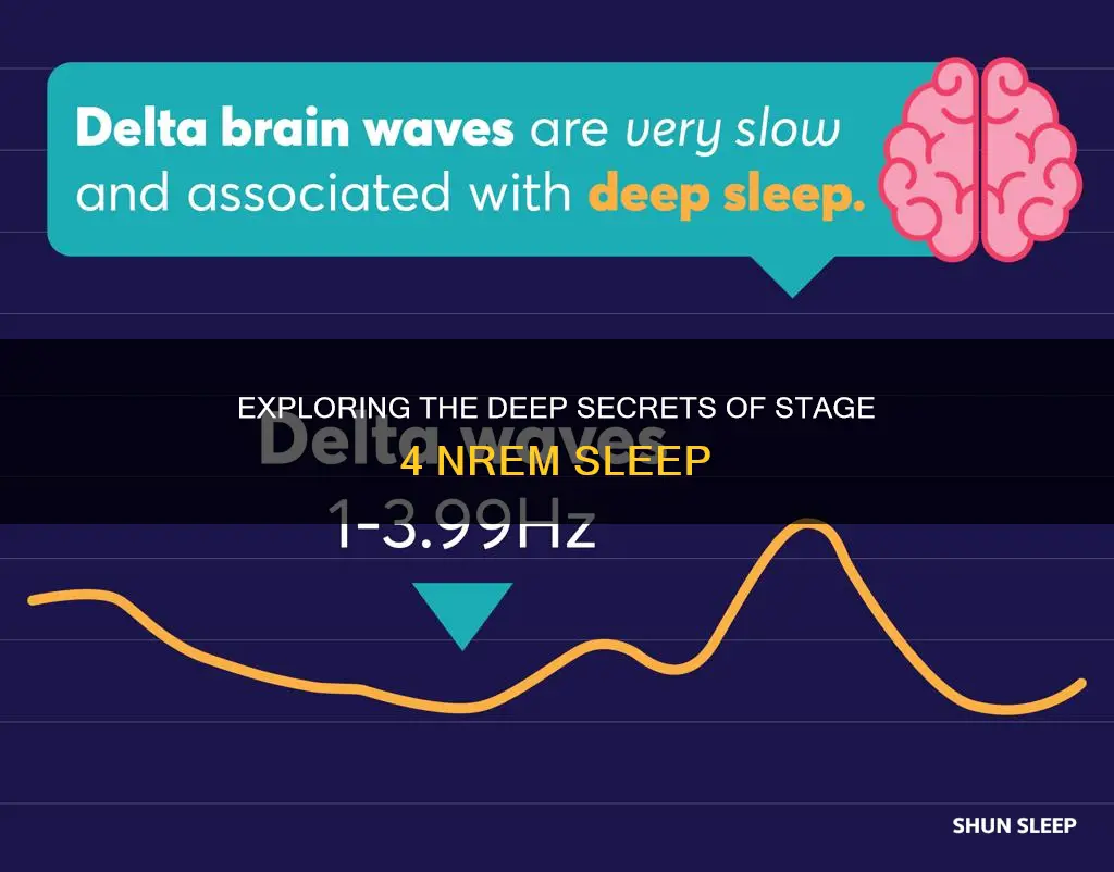 what happens in stage 4 nrem sleep