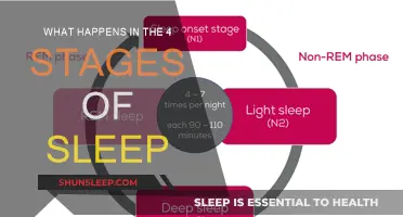 Sleep Stages: Understanding the Four Phases of Sleep