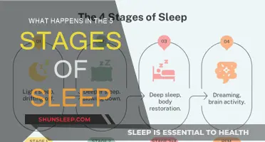 Sleep Stages: Understanding the 5 Phases of Sleep