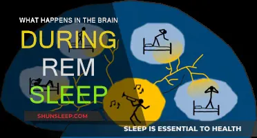Brain Activity During REM Sleep: Unlocking the Mystery