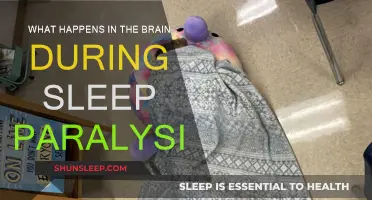 Brain Activity During Sleep Paralysis Explained