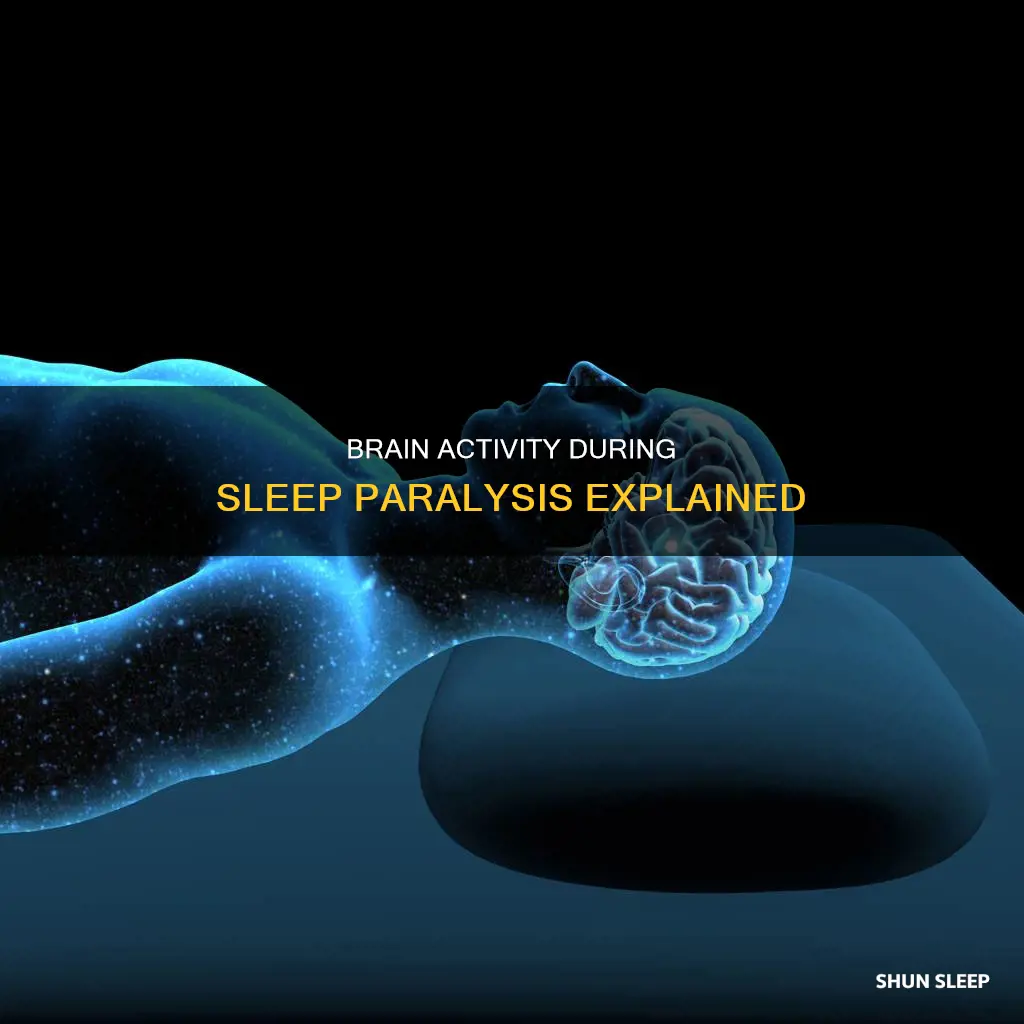 what happens in the brain during sleep paralysis