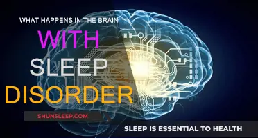 Brain Waves: Sleep Disorders Explained