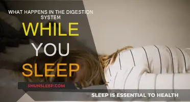 How Sleep Impacts Your Digestive System