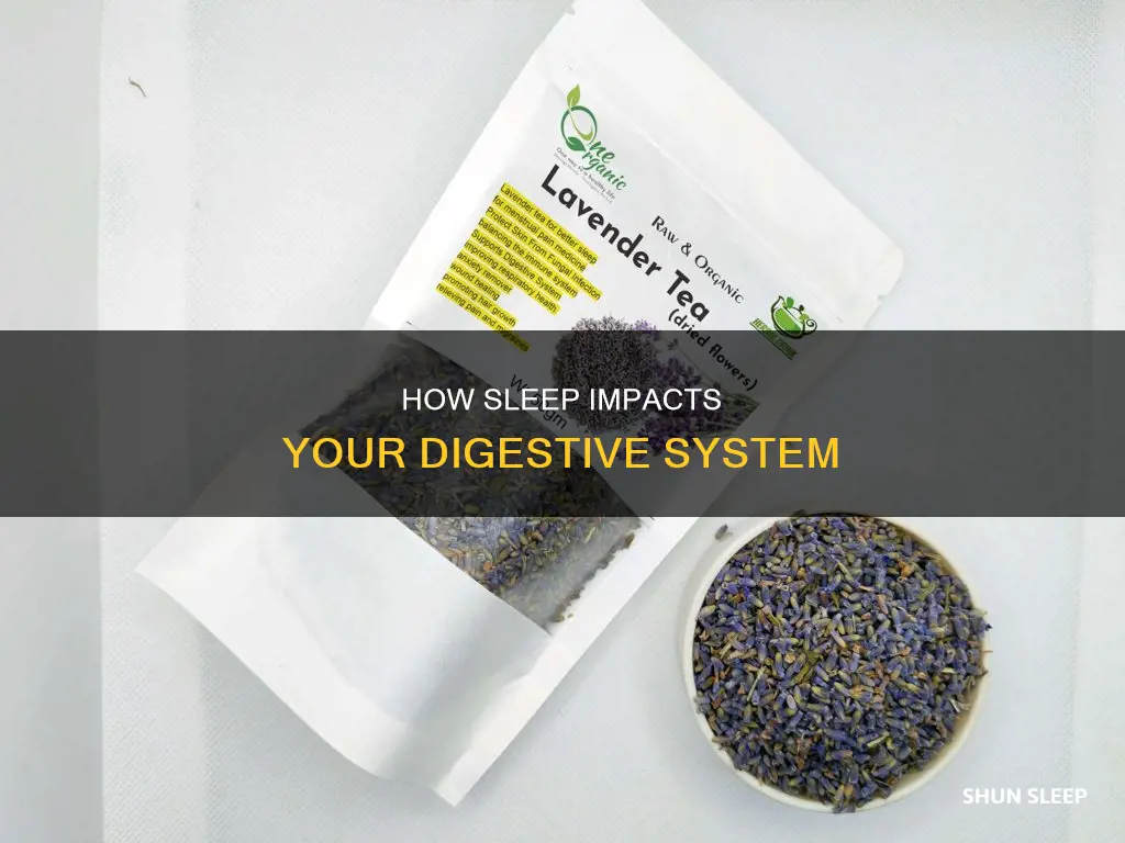 what happens in the digestion system while you sleep