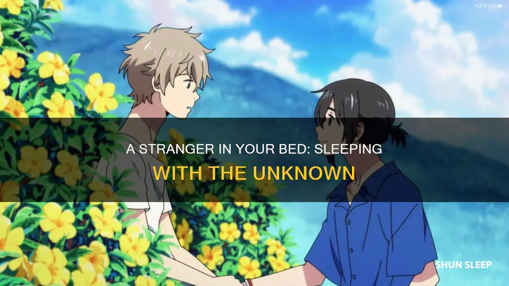 what happens in the movie sleeping with a stranger