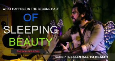 Sleeping Beauty: The Untold Second Half