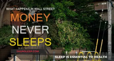 Wall Street's Money: Greed, Power, and Corruption