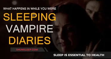 Vampire Diaries: What Happened While You Slept?