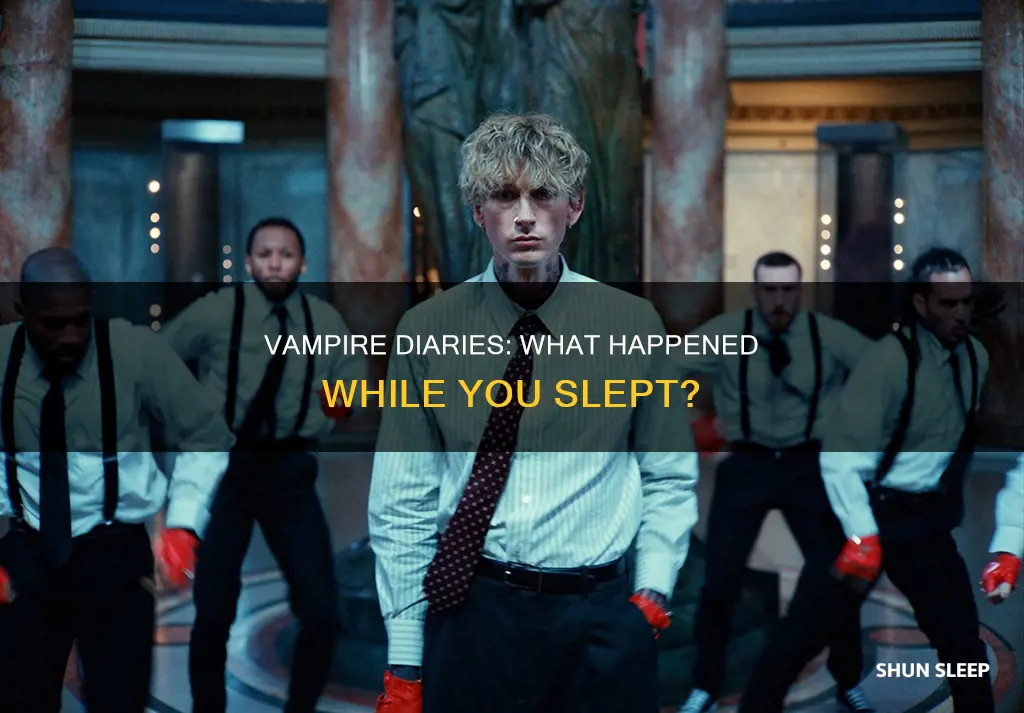 what happens in while you were sleeping vampire diaries