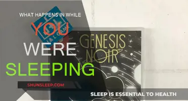 Brain Activity and Dreams: What Happens When You Sleep