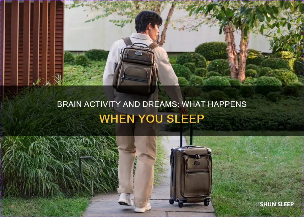 what happens in while you were sleeping