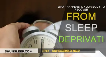 How Your Body Recovers from Sleep Deprivation