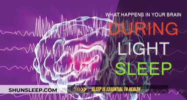 Brain Activity During Light Sleep: What's Happening?