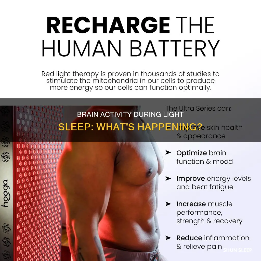what happens in your brain during light sleep