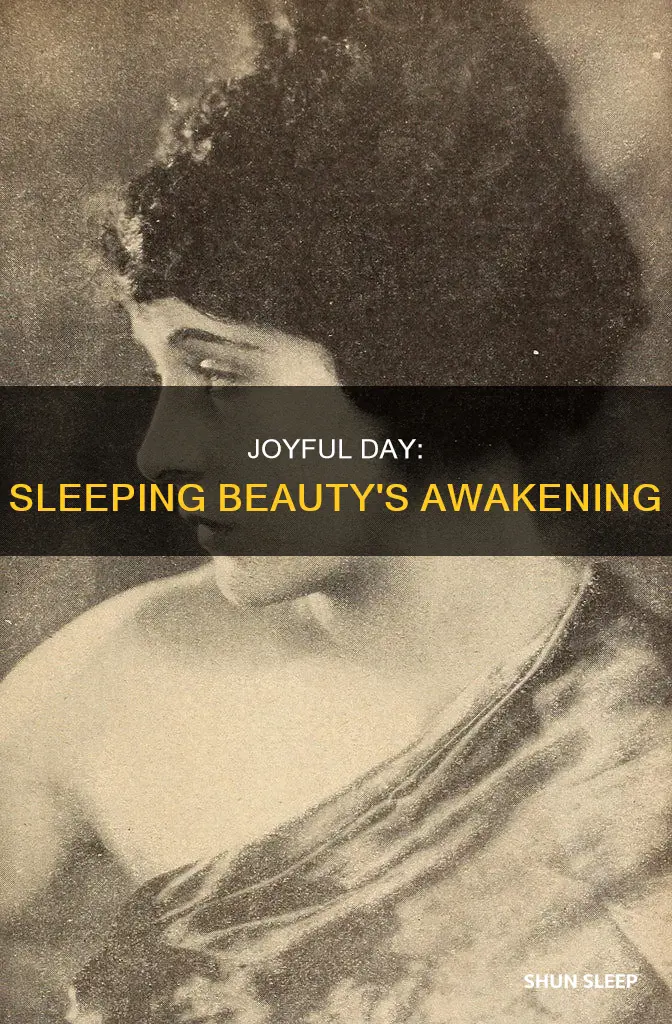 what happens on that joyful day sleeping beauty