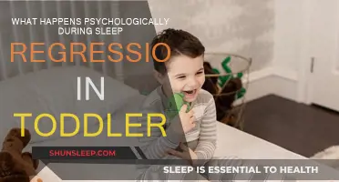 Sleep Regression: Understanding Your Toddler's Mind
