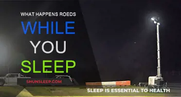 Roads Transform While You Sleep