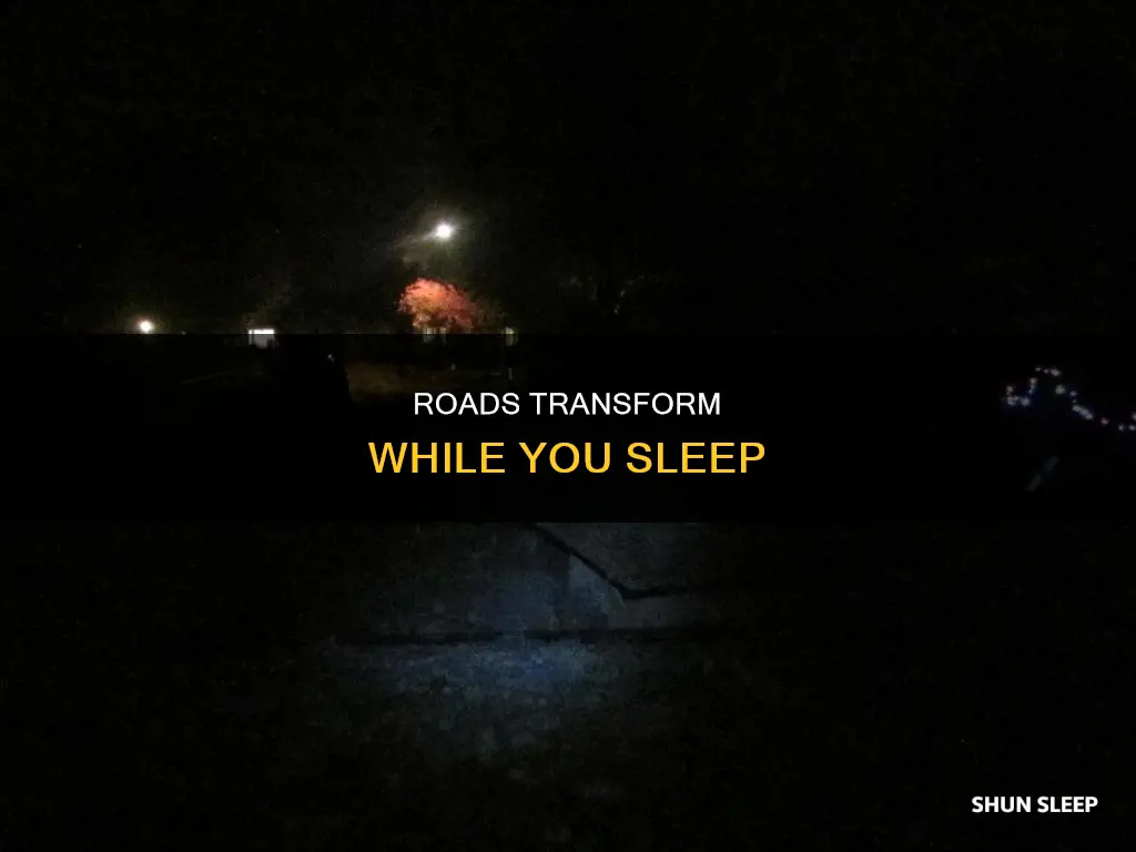 what happens roeds while you sleep