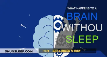 Sleep Deprivation: The Brain's Slow Torture