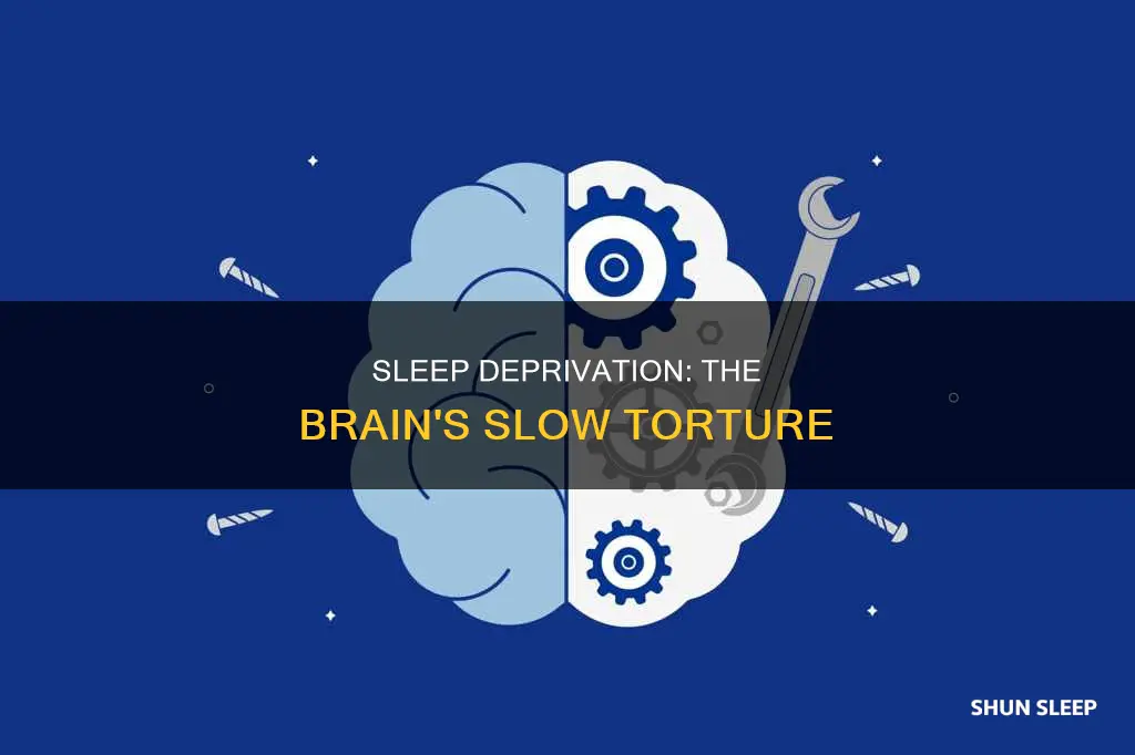 what happens to a brain without sleep