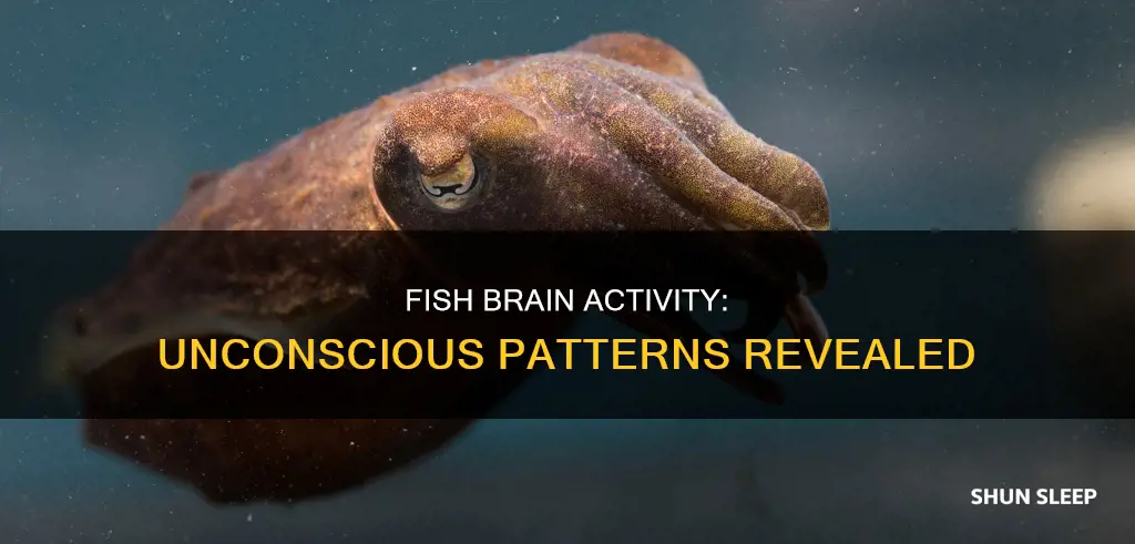 what happens to a fish