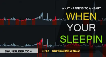 How Your Heart Works While You Sleep
