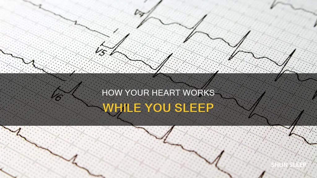 what happens to a heart when your sleeping