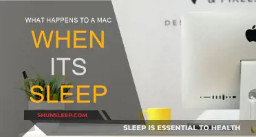 Understanding Mac Sleep Mode: Power Nap Functionality