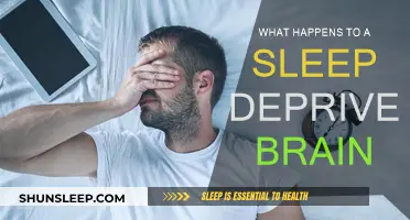 Sleep Deprivation: Brain Function and Performance Impacted