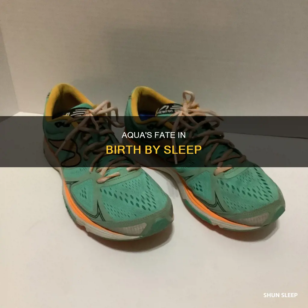 what happens to aqua in birth by sleep