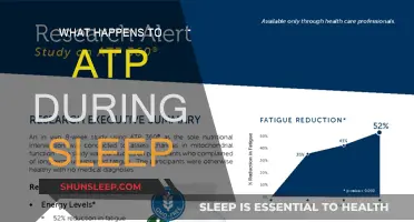 ATP and Sleep: What's the Connection?