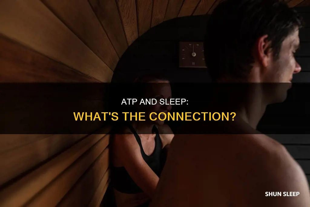 what happens to atp during sleep